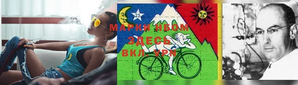 метадон Кодинск