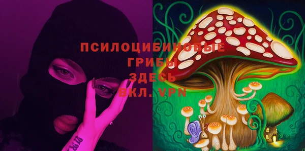 ГАЛЛЮЦИНОГЕННЫЕ ГРИБЫ Козельск