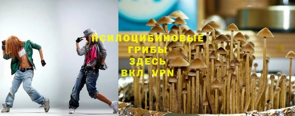 метадон Кодинск