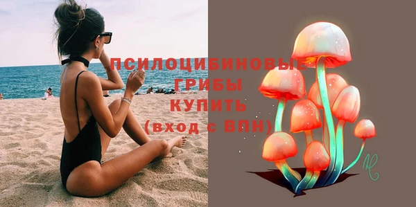 ГАЛЛЮЦИНОГЕННЫЕ ГРИБЫ Козельск