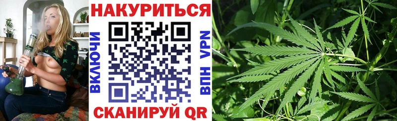 kraken зеркало  Элиста  Бошки марихуана Bruce Banner  наркотики 